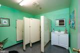 213 Dry River Road - Photo 28