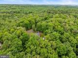554 Wispy Branch Lane - Photo 54
