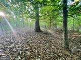 LOT 3 Deer Mountain Road - Photo 10