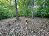 LOT 3 Deer Mountain Road - Photo 14