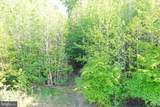 LOT 3 Deer Mountain Road - Photo 15
