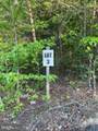 LOT 3 Deer Mountain Road - Photo 17