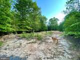 LOT 3 Deer Mountain Road - Photo 3