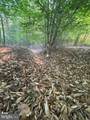 LOT 3 Deer Mountain Road - Photo 7