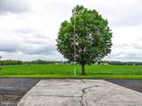 13551 Ridge Road - Photo 38