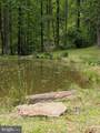 115 Oventop Mountain Lane - Photo 41