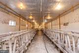616 Crab Run Road - Photo 40