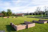 31027 Scissorbill Road - Photo 83