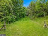 2429 Posey Hollow Road - Photo 11