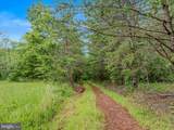 2429 Posey Hollow Road - Photo 12