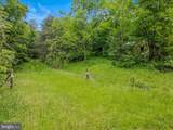 2429 Posey Hollow Road - Photo 13