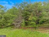 2429 Posey Hollow Road - Photo 16