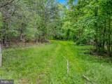 2429 Posey Hollow Road - Photo 21