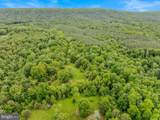 2429 Posey Hollow Road - Photo 33