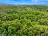 2429 Posey Hollow Road - Photo 36