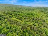 2429 Posey Hollow Road - Photo 37
