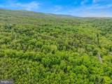 2429 Posey Hollow Road - Photo 38