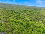 2429 Posey Hollow Road - Photo 39