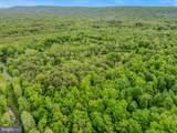 2429 Posey Hollow Road - Photo 40