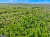 2429 Posey Hollow Road - Photo 41