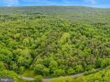 2429 Posey Hollow Road - Photo 46