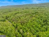 2429 Posey Hollow Road - Photo 47