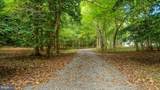 29247 White Pine Lane - Photo 72