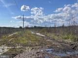 0 Mt Holly Road - Photo 6