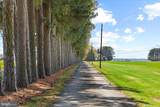 29031 Howell Point Road - Photo 15