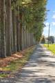 29031 Howell Point Road - Photo 16
