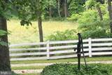 1125 White Church Road - Photo 54