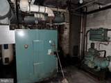 31 Shirley Street - Photo 59