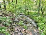 442 Old Henry Path Road - Photo 56
