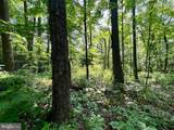 442 Old Henry Path Road - Photo 60