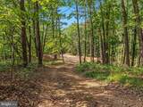 417 Mallard Drive - Photo 82
