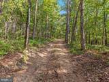 417 Mallard Drive - Photo 83