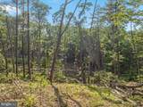 417 Mallard Drive - Photo 91