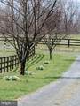 64 Salem Church Road - Photo 53