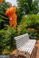 6804 Benjamin Street - Photo 80