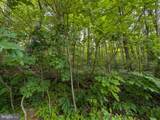 Lot 106 Bluebird Way - Photo 1