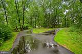 10812 Green Ash Lane - Photo 43