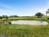 1569 Front Royal Pike - Photo 4
