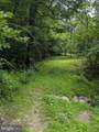 6.1 and 1.57 Acres Chestnut Hill Road - Photo 1