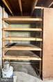 13709 Fir Tree Lane - Photo 38