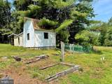 13709 Fir Tree Lane - Photo 49
