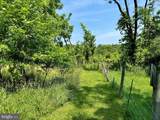 13709 Fir Tree Lane - Photo 52