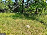 13709 Fir Tree Lane - Photo 54