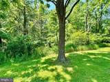 13709 Fir Tree Lane - Photo 78