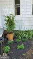 3107 Evergreen Avenue - Photo 28