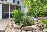 225 Princess Anne Street - Photo 59
